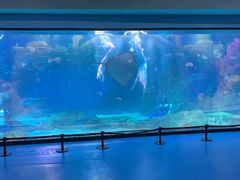 -海合安成都极地海洋公园