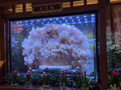 -上海月星家居(澳门路店)