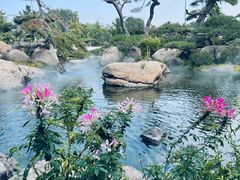 -罗红摄影艺术馆