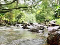 -广州市石门国家森林公园