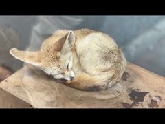 -无锡动物园·太湖欢乐园