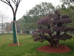 -中共上海市委党校 上海行政学院