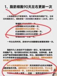 -Lily纤美·科技减脂中心