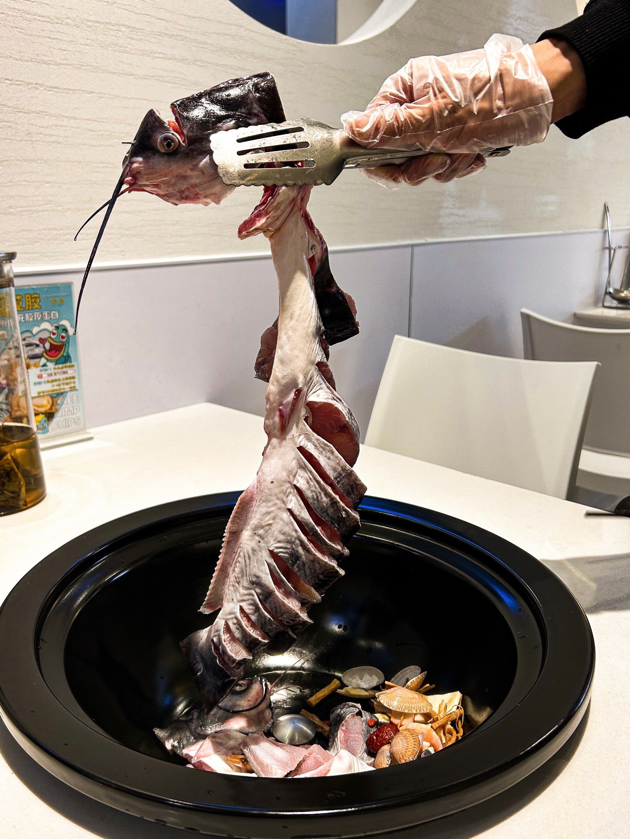 在广州!在白云!是现切现蒸的石锅鱼耶!05