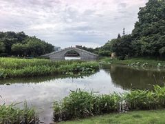 -映月湖公园