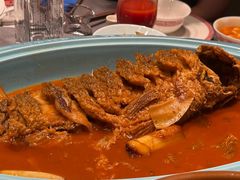 -阿五黄河大鲤鱼(英协路店)