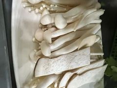 -濠轩阁特色生蚝火锅(水湾路店)