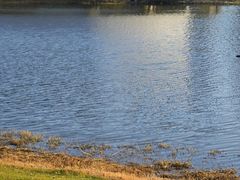 -春花秋色城市公园