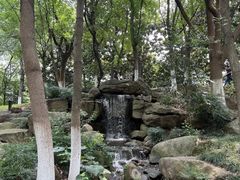 -新洲生态园