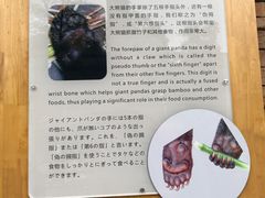 -熊猫厨房