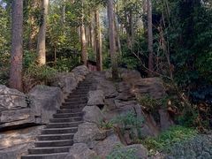 -水濂山森林公园