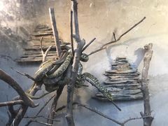-荔城生鲜盛宴(番禺旗舰店)