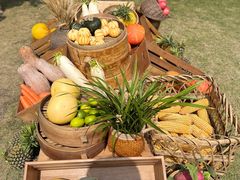 -中国天府农业博览园