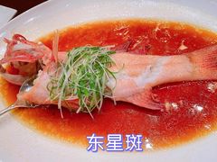 -御宝轩(益丰·外滩源店)