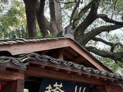 -塔川景区