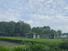 -洪湖家庭农场·团建·露营·会议