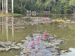 -中国科学院西双版纳热带植物园