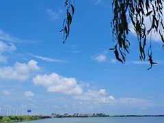 -瑶湖郊野森林公园