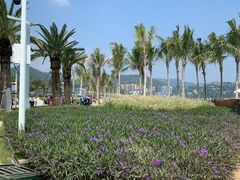 -大梅沙海滨公园