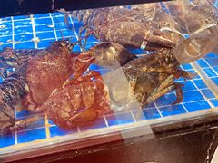 -晶渔坊·海鲜私房菜(东夷小镇店)