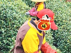 -十里琅珰