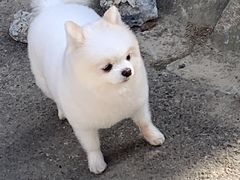 -鹤之乡·齐齐哈尔烤肉·非遗(秋涛路店)