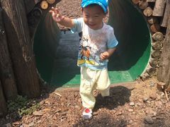 -田园东方蜜桃村的田野营地