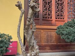 -西林禅寺