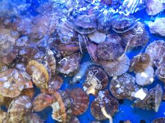 -日照大牌檔•小船海鲜(万平口店)