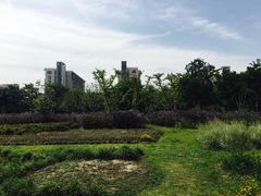 -江南大学(蠡湖校区)