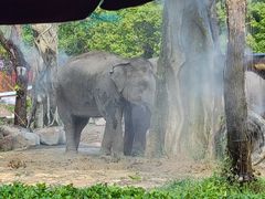 -上海野生动物园