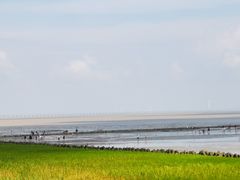 -南汇嘴观海公园