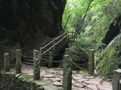 -牛背梁国家森林公园