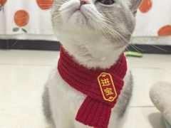 -悦宠凯宝动物医院·牙科·皮肤科(朝阳北路店)