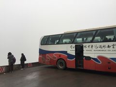 -牛街螺丝田