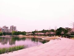 -新江湾城公园