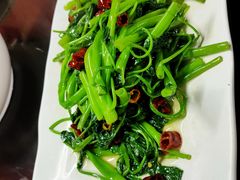 -天一沾水肥肠(科园一街店)