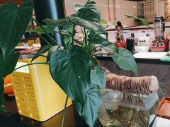 -旺顺阁鱼头泡饼(小红门店)