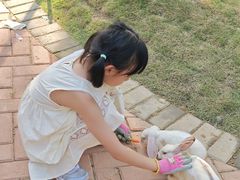 -灵玲国际马戏城