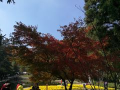 -庐山风景区花径公园