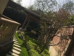 -思念果岭悦温泉