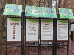 -黄海国家森林公园