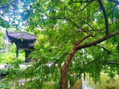 -扬州大运河文化旅游度假区·盆景园