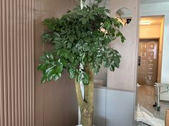 -京东家装(昆明总店)