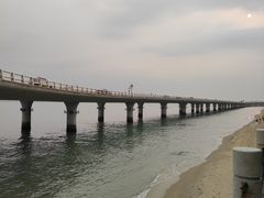 -演武大桥观景平台