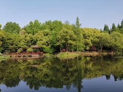 -上海滨江森林公园