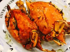 -松子料理(白家庄店)