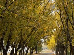 -野鸭湖国家湿地公园