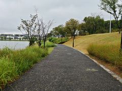 -羊山湖公园