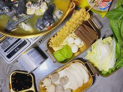 -Darling Queen·Mini·Live·House